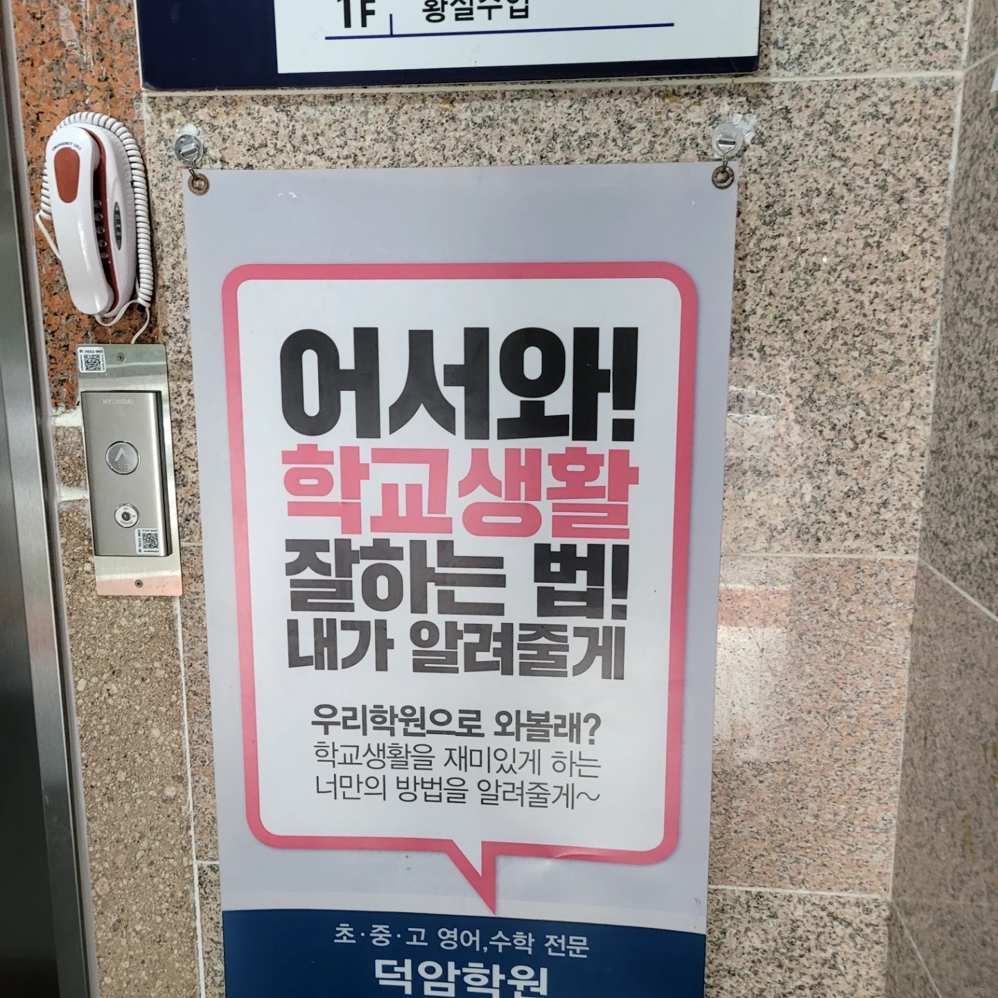 용봉동 초.중등 영어강사구인