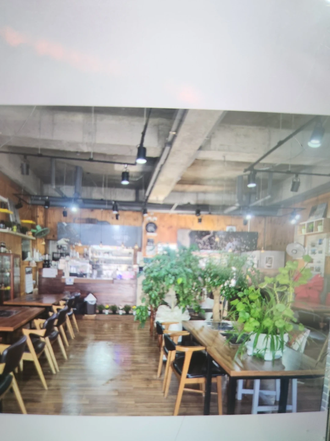 커피숍 음료제조