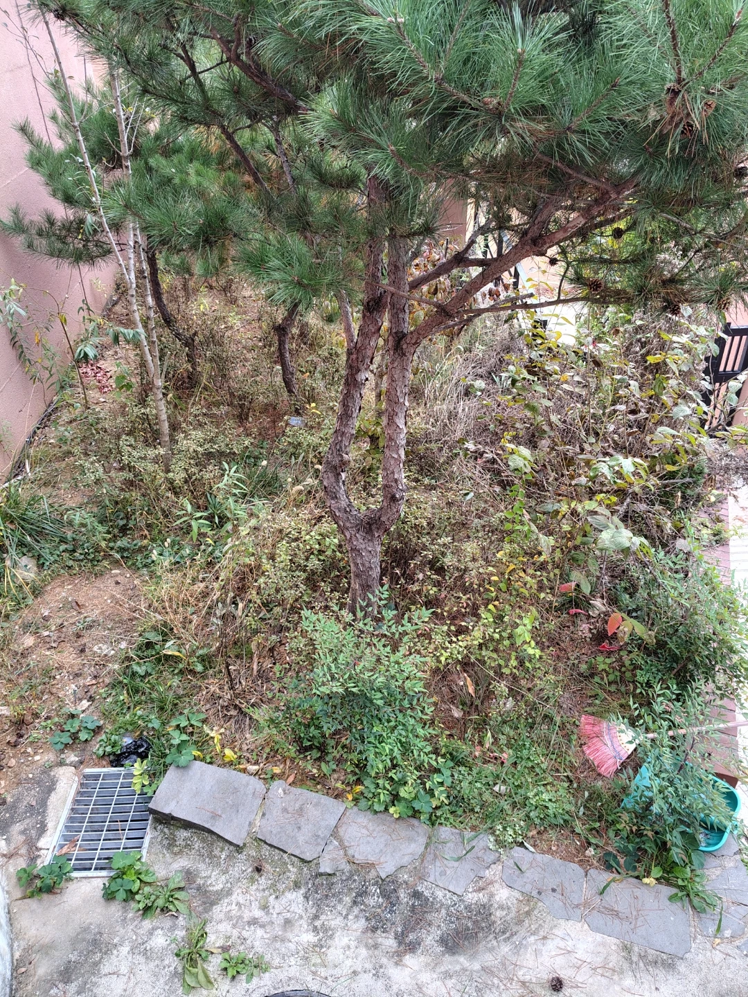 제초작업 및 쓰레기 치우고 버려주실분