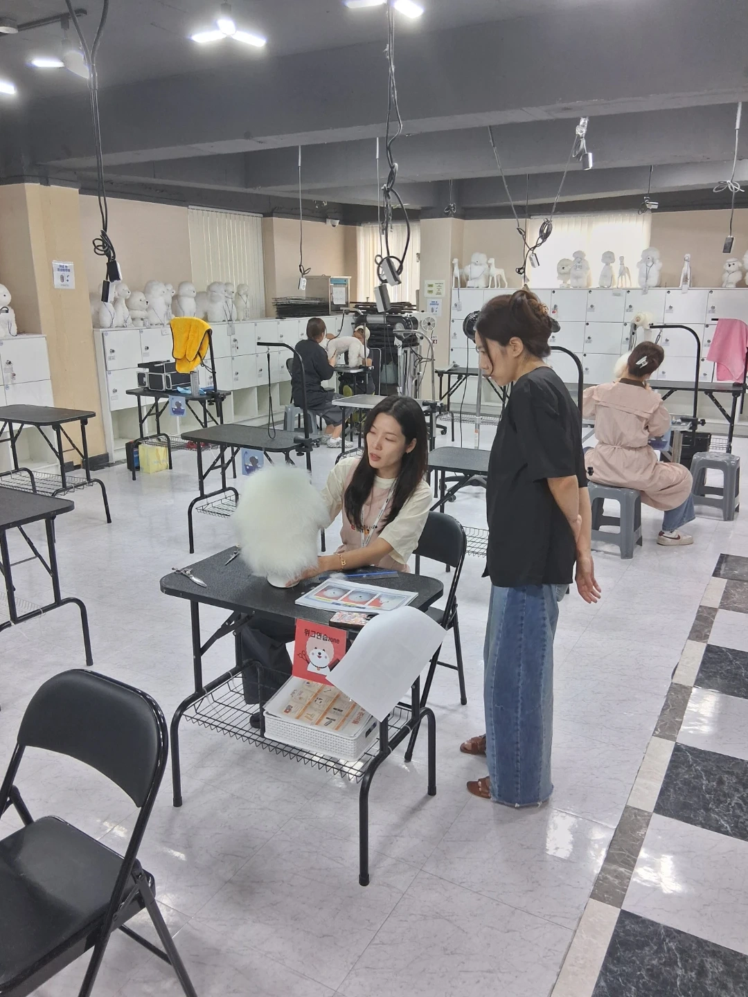 이바우펫 애견미용학원 강사님 구인