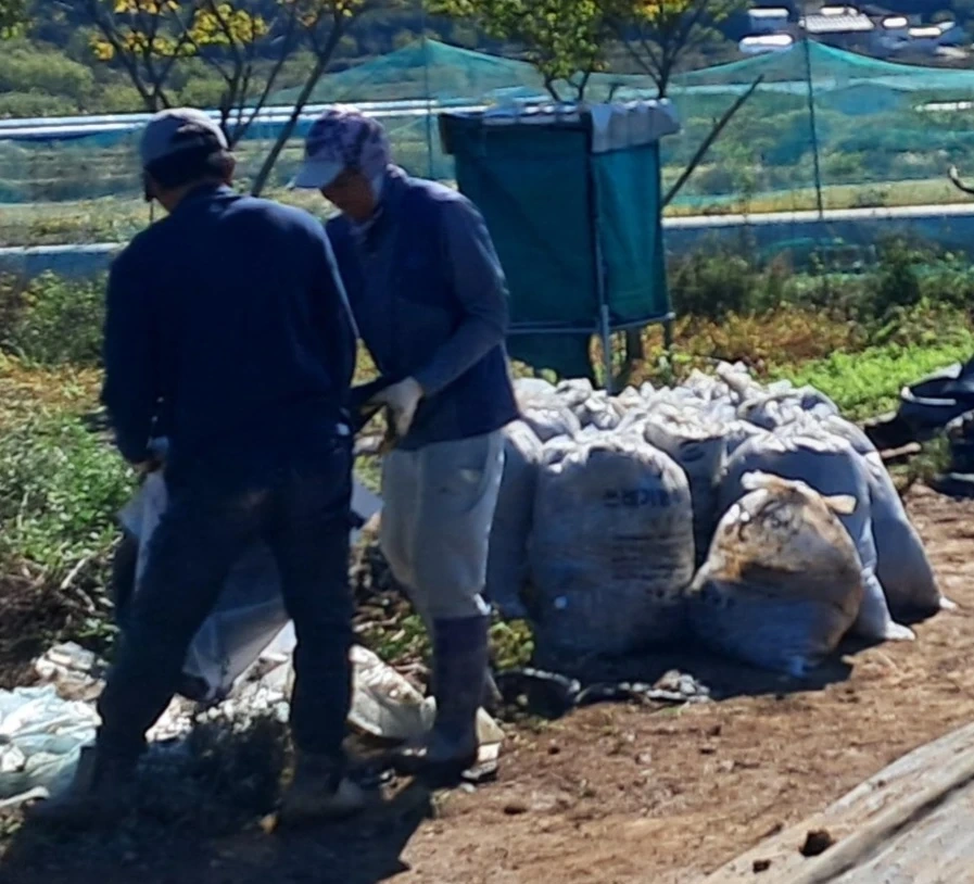 트럭 가져와서 쓰레기봉지 치워주실분 구해요