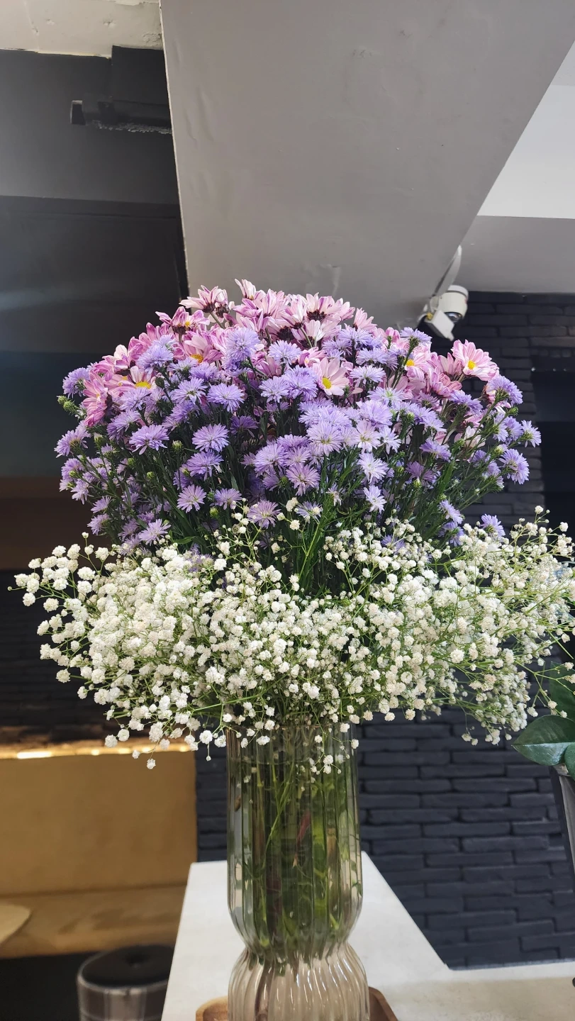 주 2회 청소 이모님 구합니다