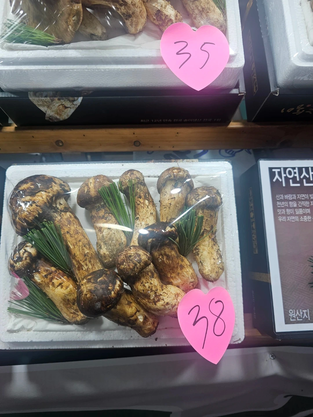 지방 근무가능한 자