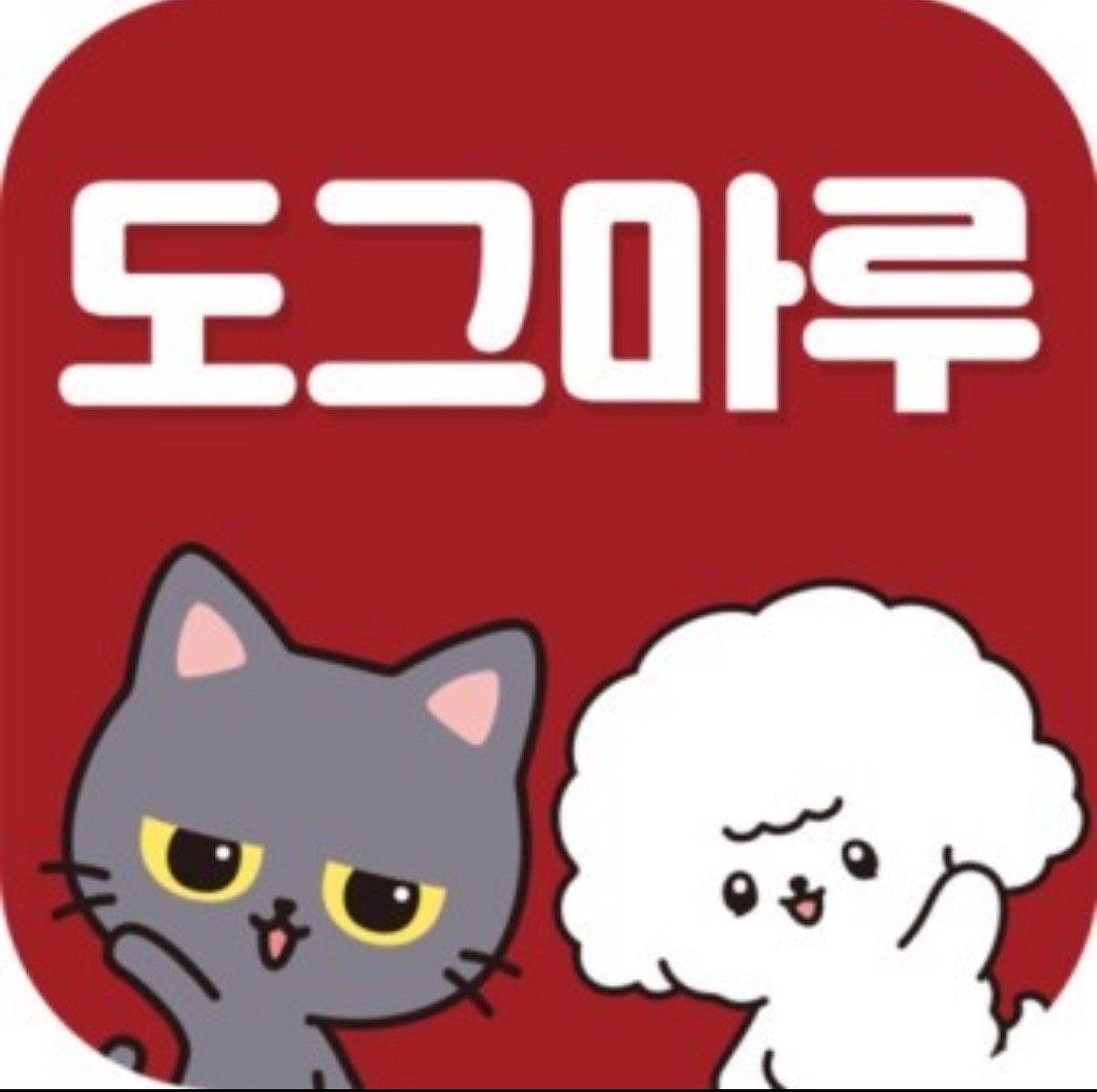 도그마루 강아지 고양이 김해창원점 공고 썸네일