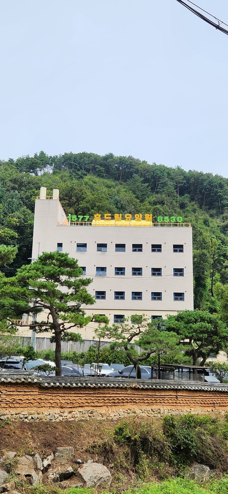 요양원 요양보호사(퐁당당) 공고 썸네일