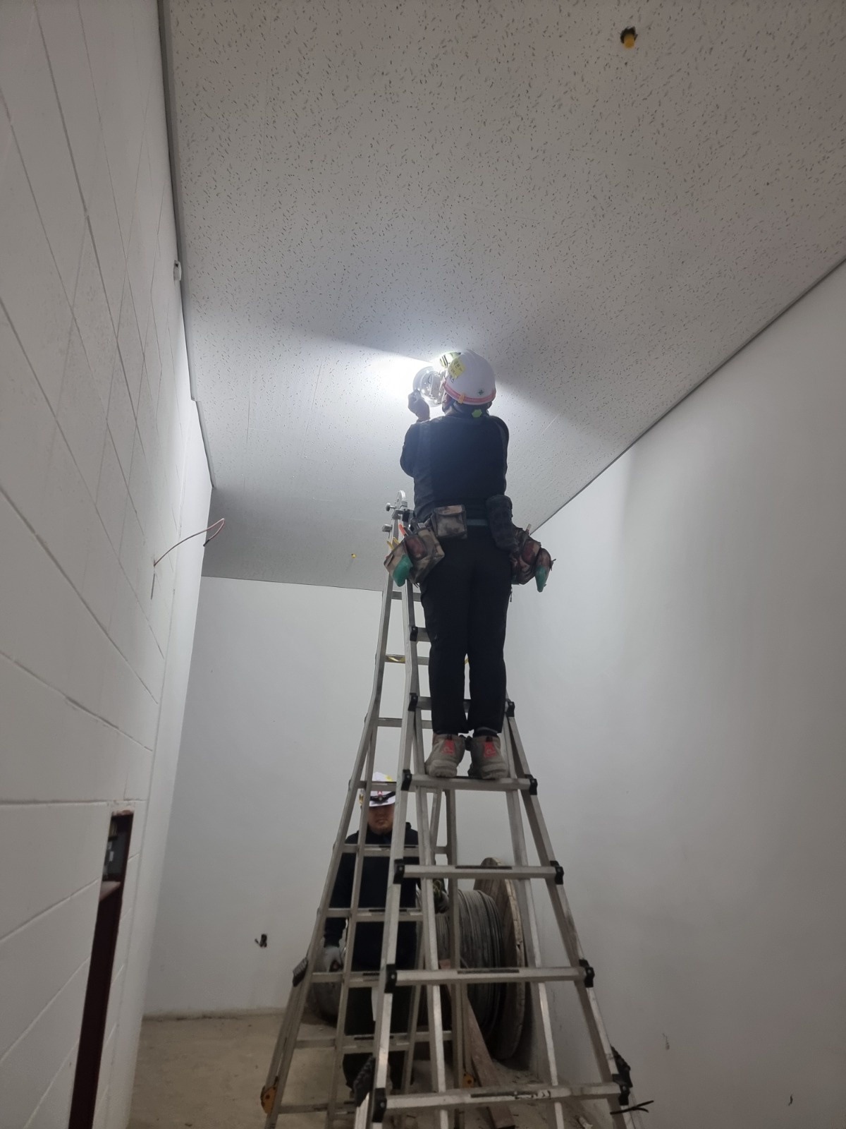 조명 설치팀에서 함께하며 배워보실 분 구합니다. 공고 썸네일