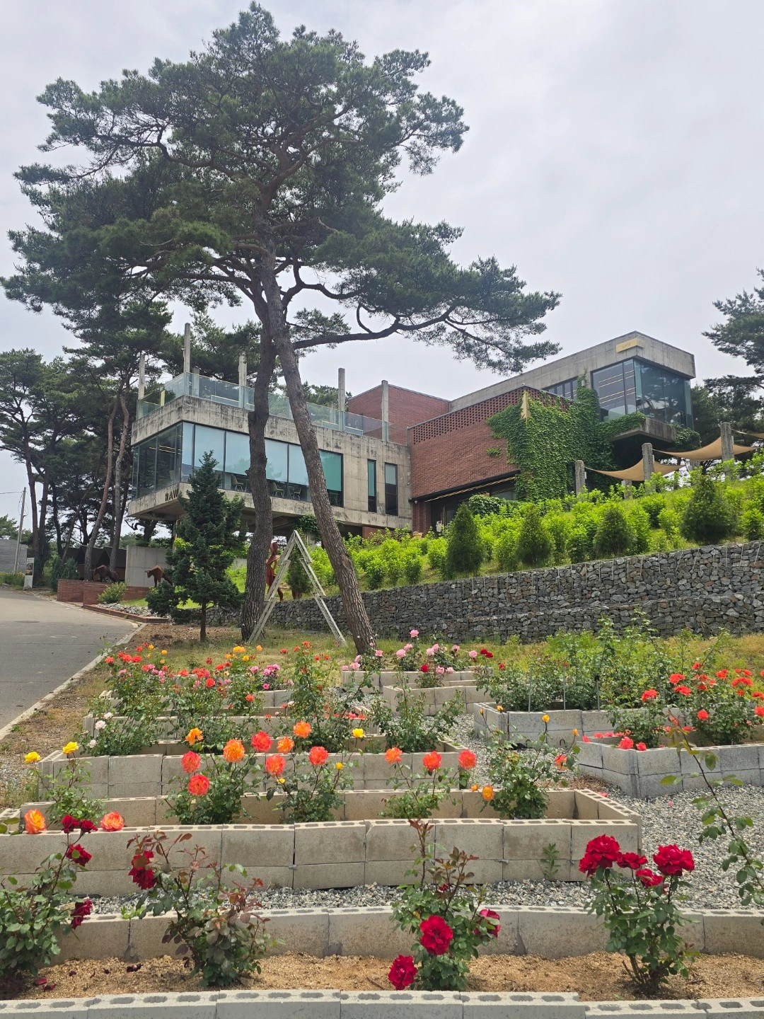 카페로우 주말 마감 알바구해요