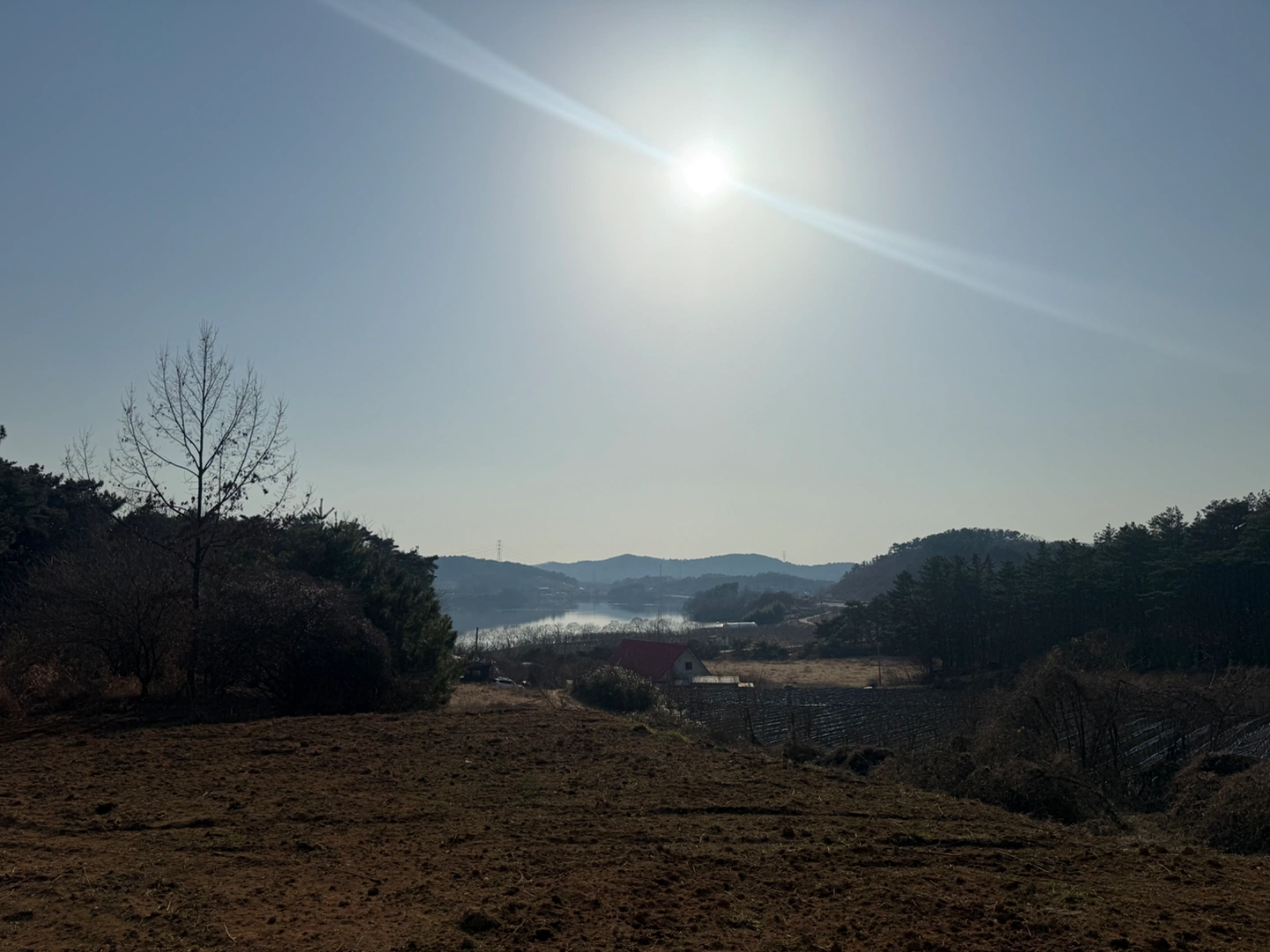 주 1회 4시간 가사도우미 모셔요