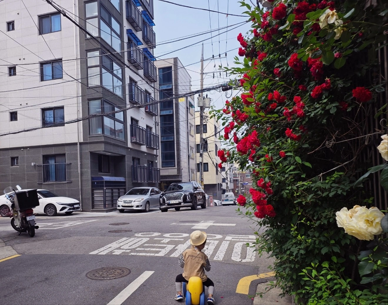 4세 남아 육아 돌봄 구합니다.(신림.신대방.봉천)