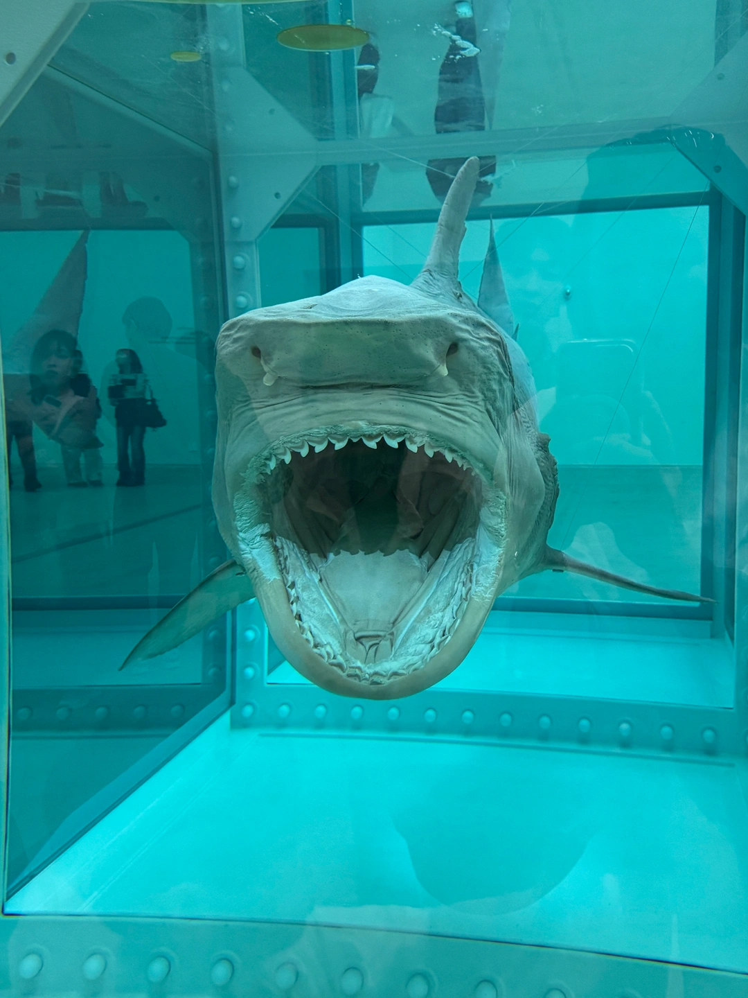 페이스타임 8살 남아 PM9 ~ 30분 영어대화