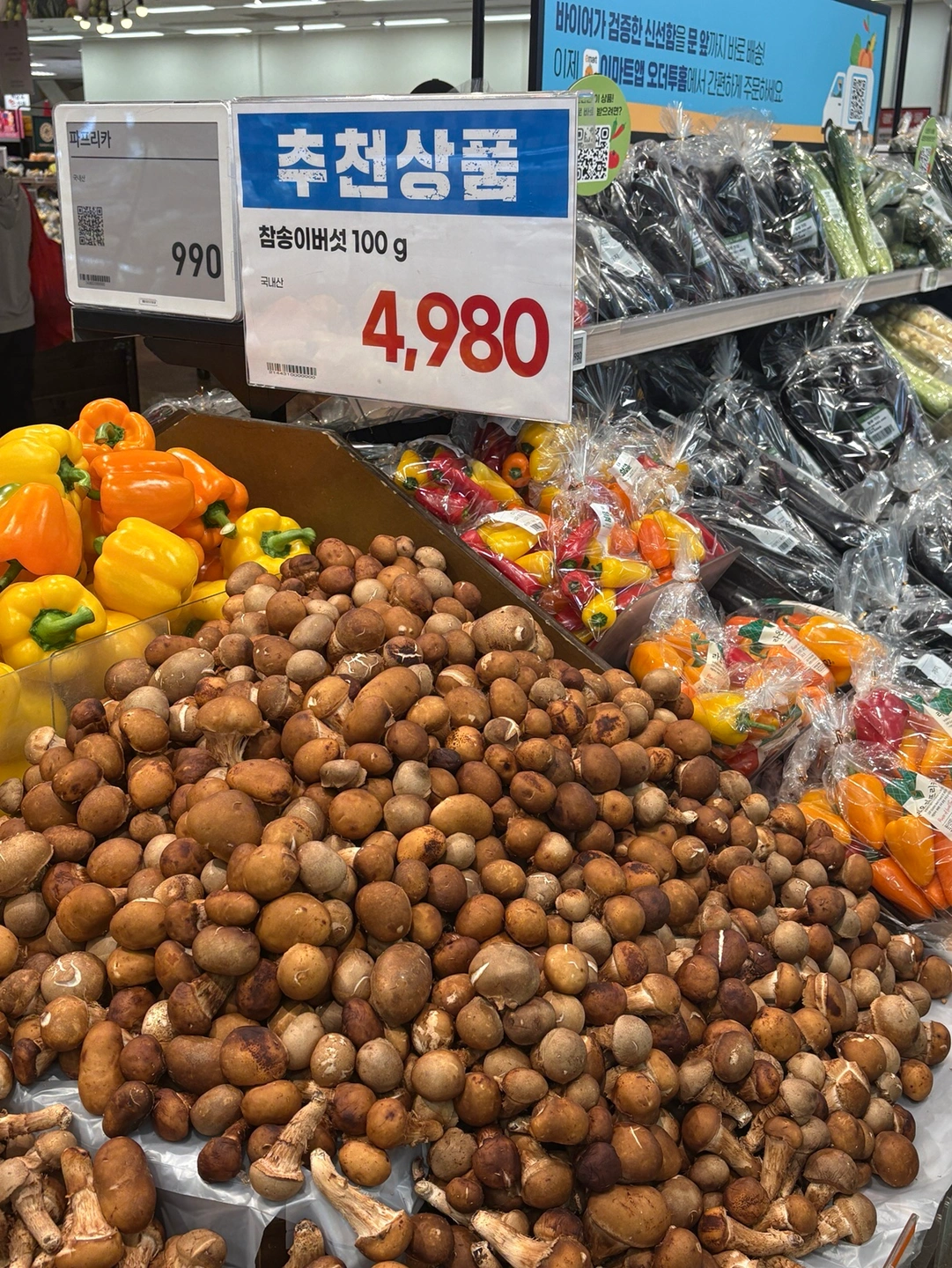마트 버섯 판매사원 구인