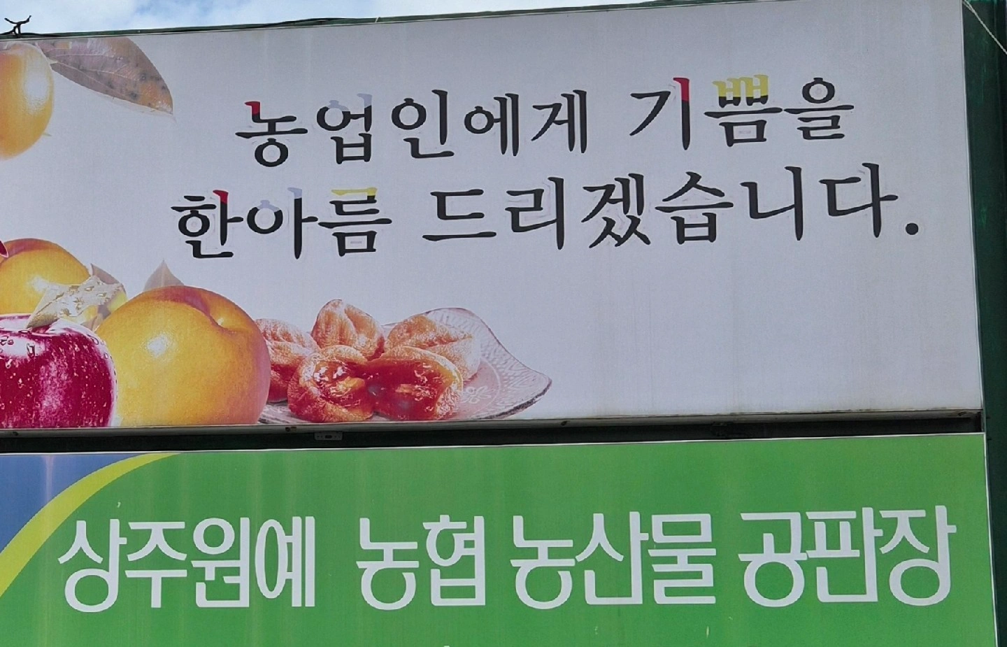 상주 원예농협 공판장 생감박스 상 하차 하실분 구합니다