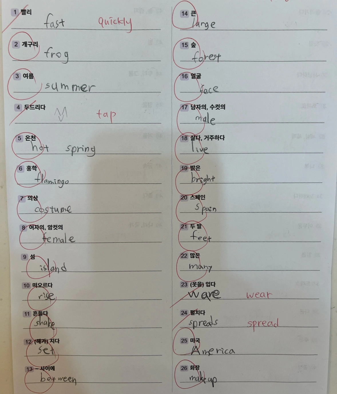 영어채점보조강사