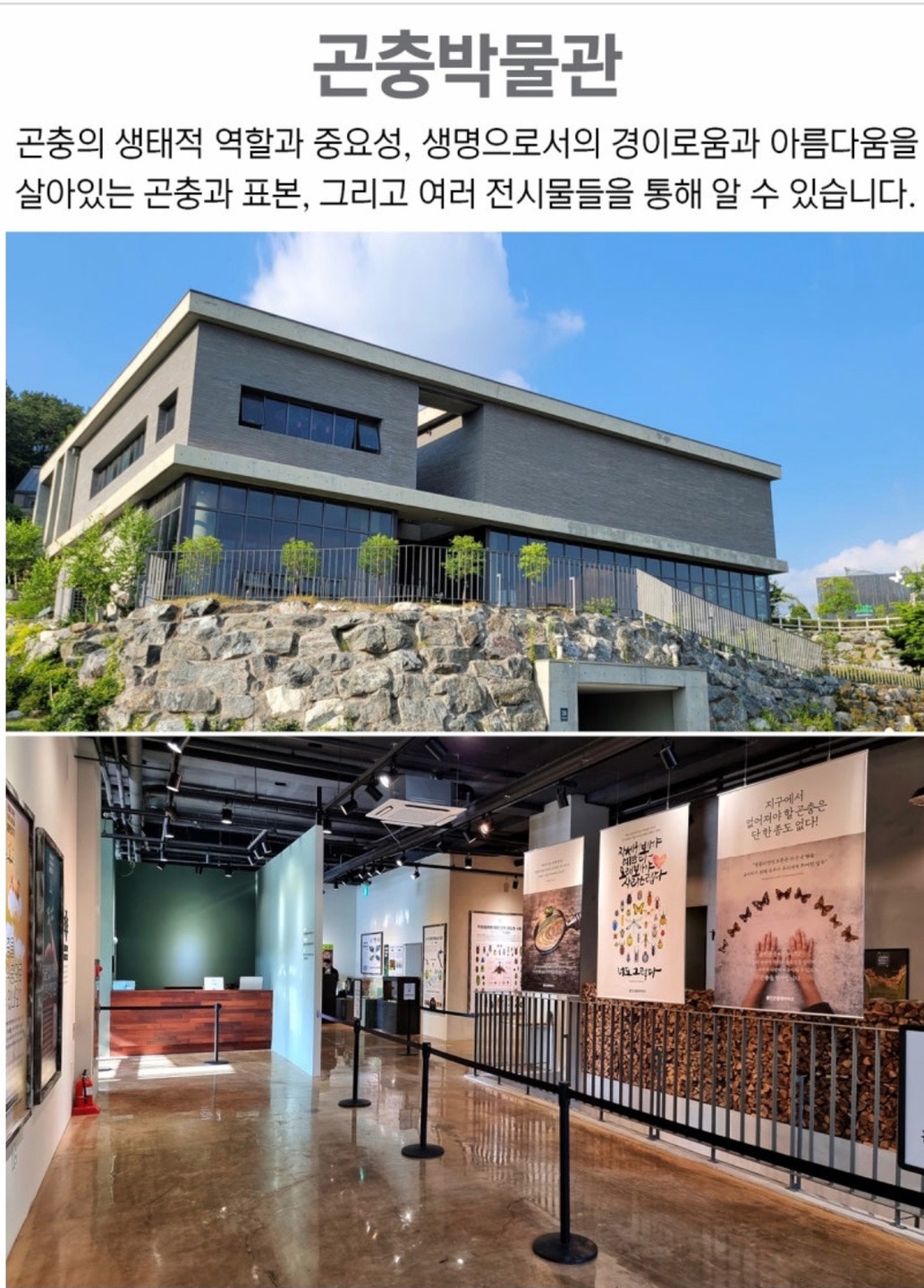 백암면 용인곤충테마파크농업회사법인(주) 아르바이트 장소 (2)