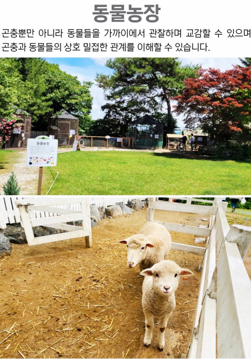 백암면 용인곤충테마파크농업회사법인(주) 아르바이트 장소 (8)