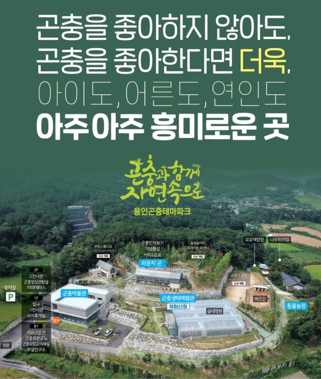 백암면 용인곤충테마파크농업회사법인(주) 아르바이트 장소 (10)