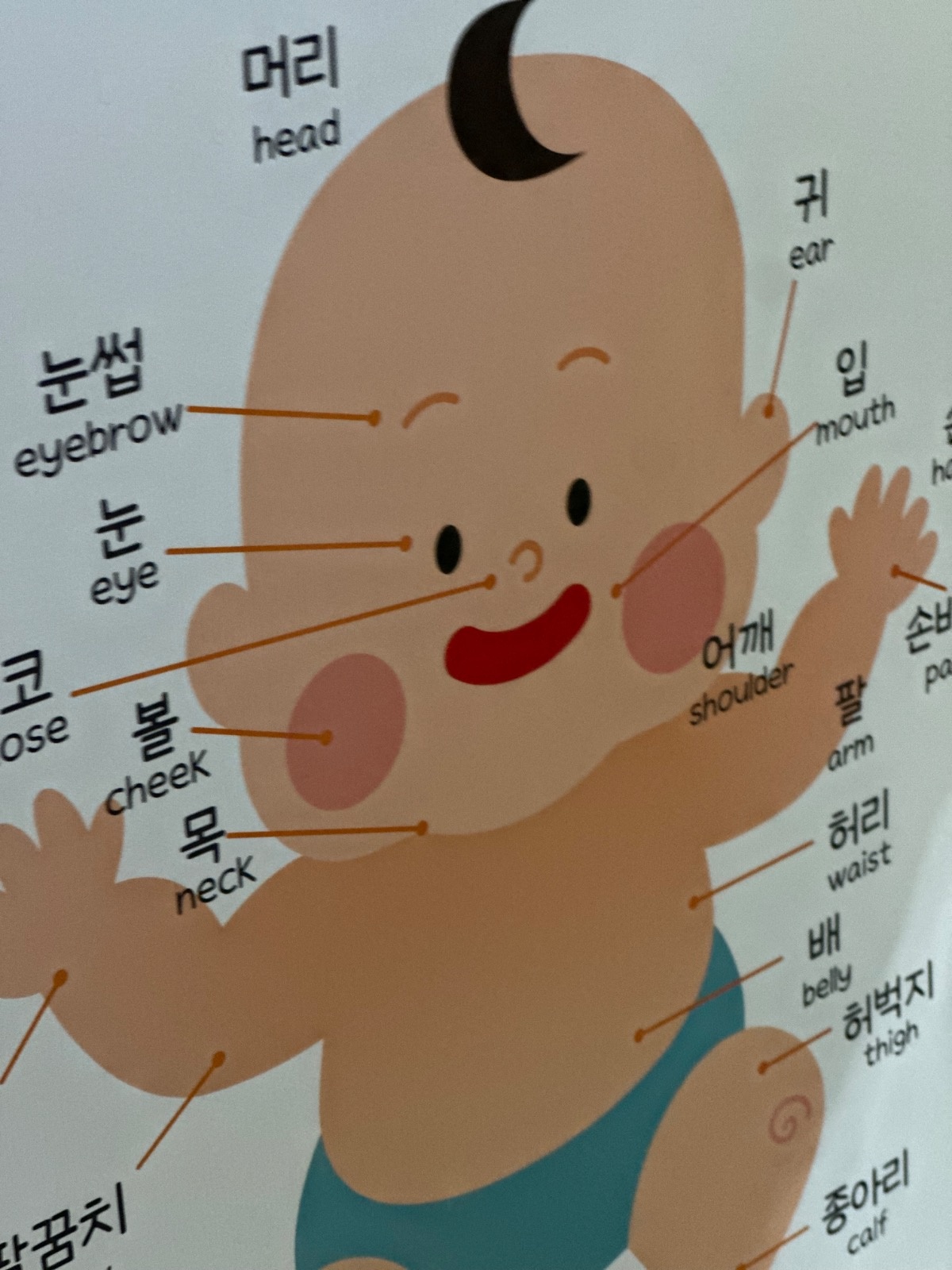 알바