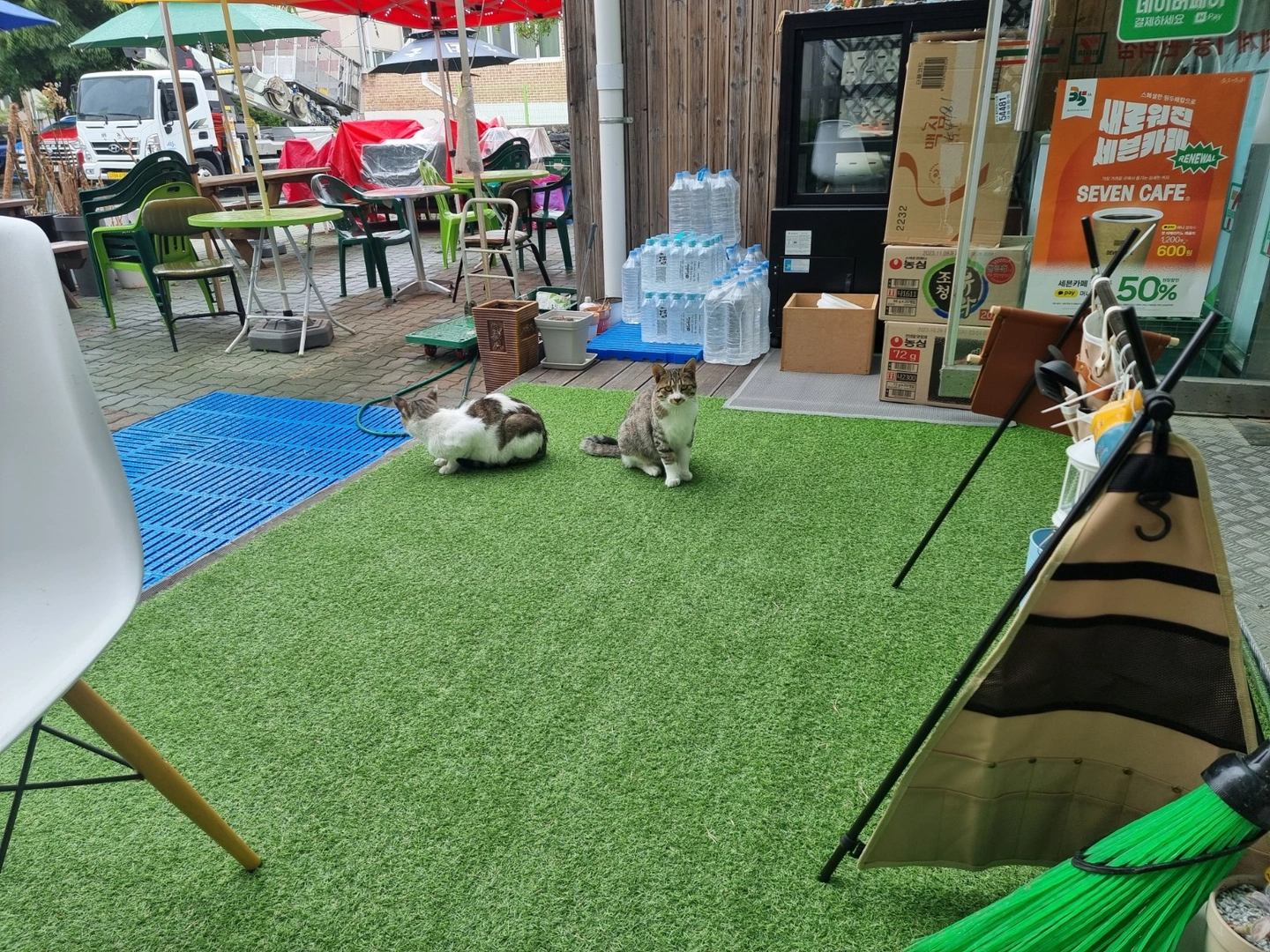 편의점 야간알바