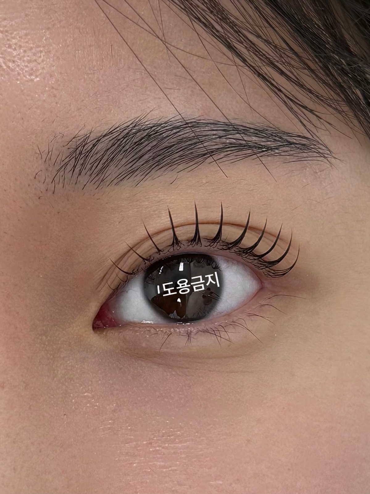속눈썹연장 모델 구해요! 공고 썸네일