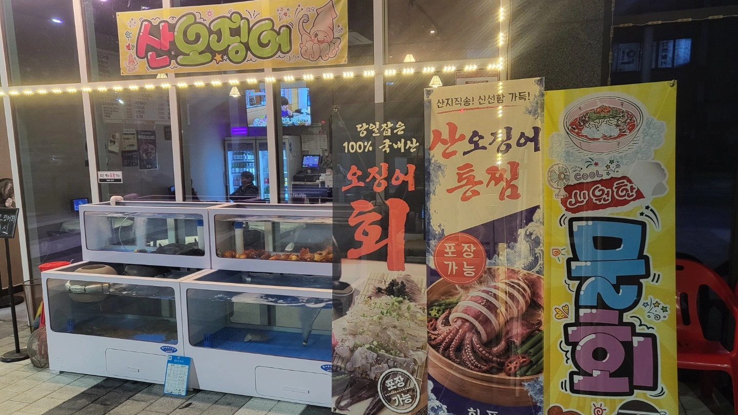 11일간 설거지 해주실분 구합니다