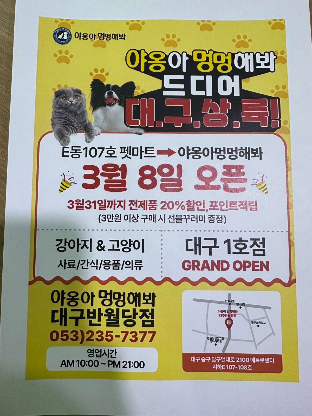 야옹아멍멍해봐 대구 반월당점 3/8오픈! 알바구합니다! 공고 썸네일