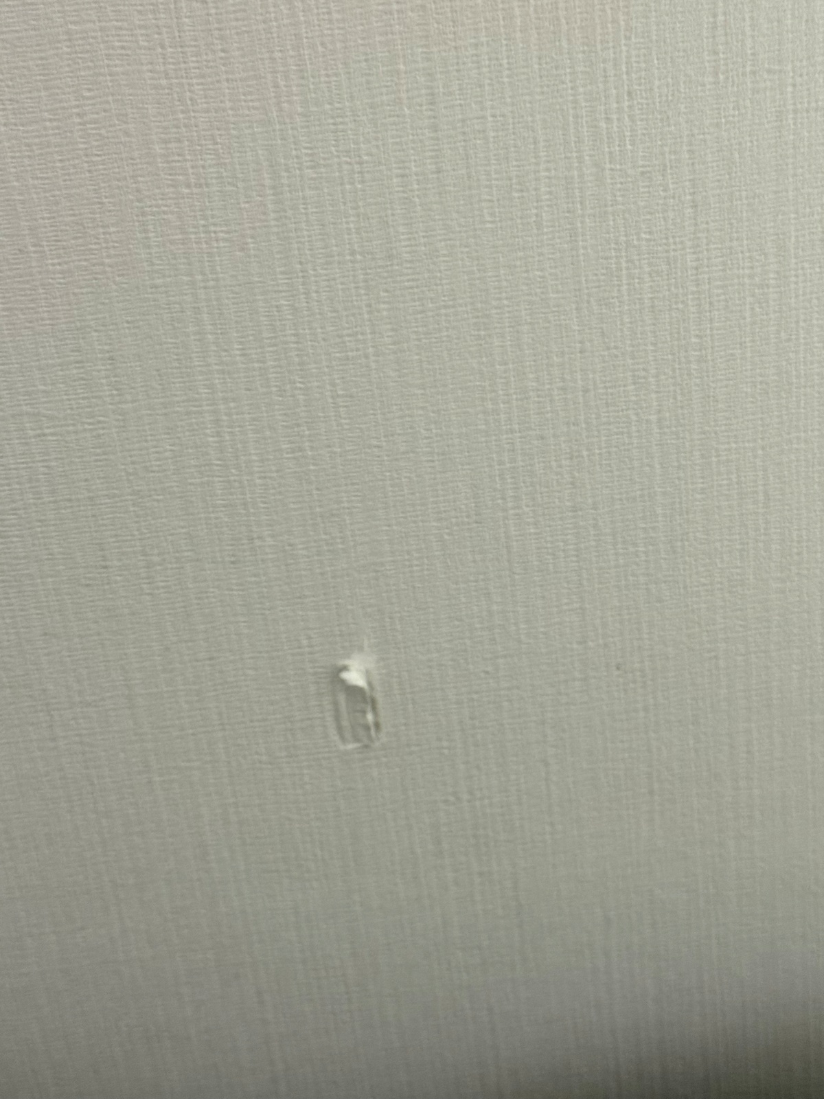 벽지 견적 궁금해요 공고 썸네일