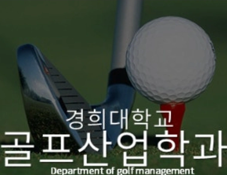 골프 개인레슨 (22일~27일중 3일간, 총6시간)