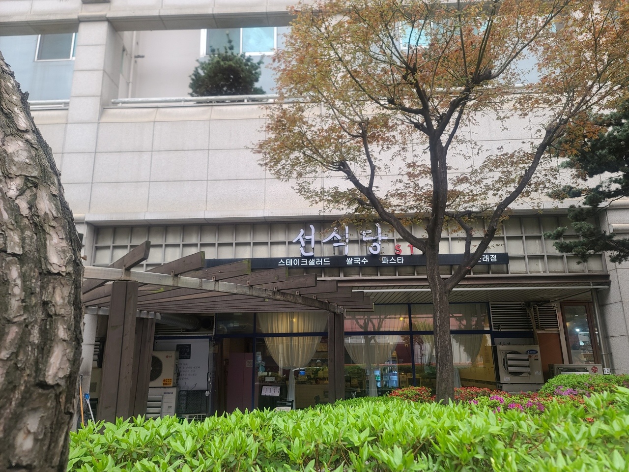 선식당 문래점 주방조리사 구합니다 공고 썸네일