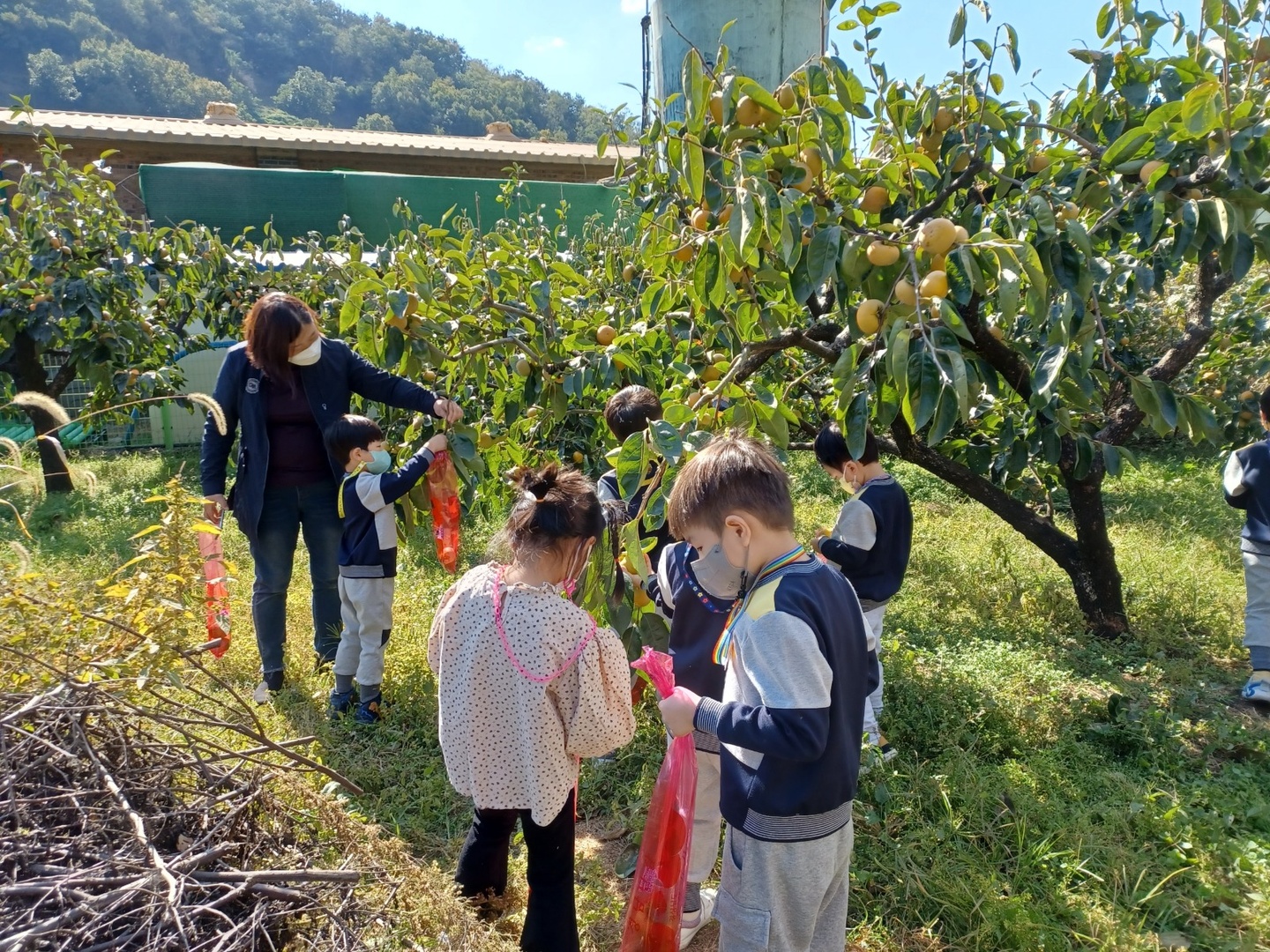 한림면 김해체험시골학교 아르바이트 장소 (2)