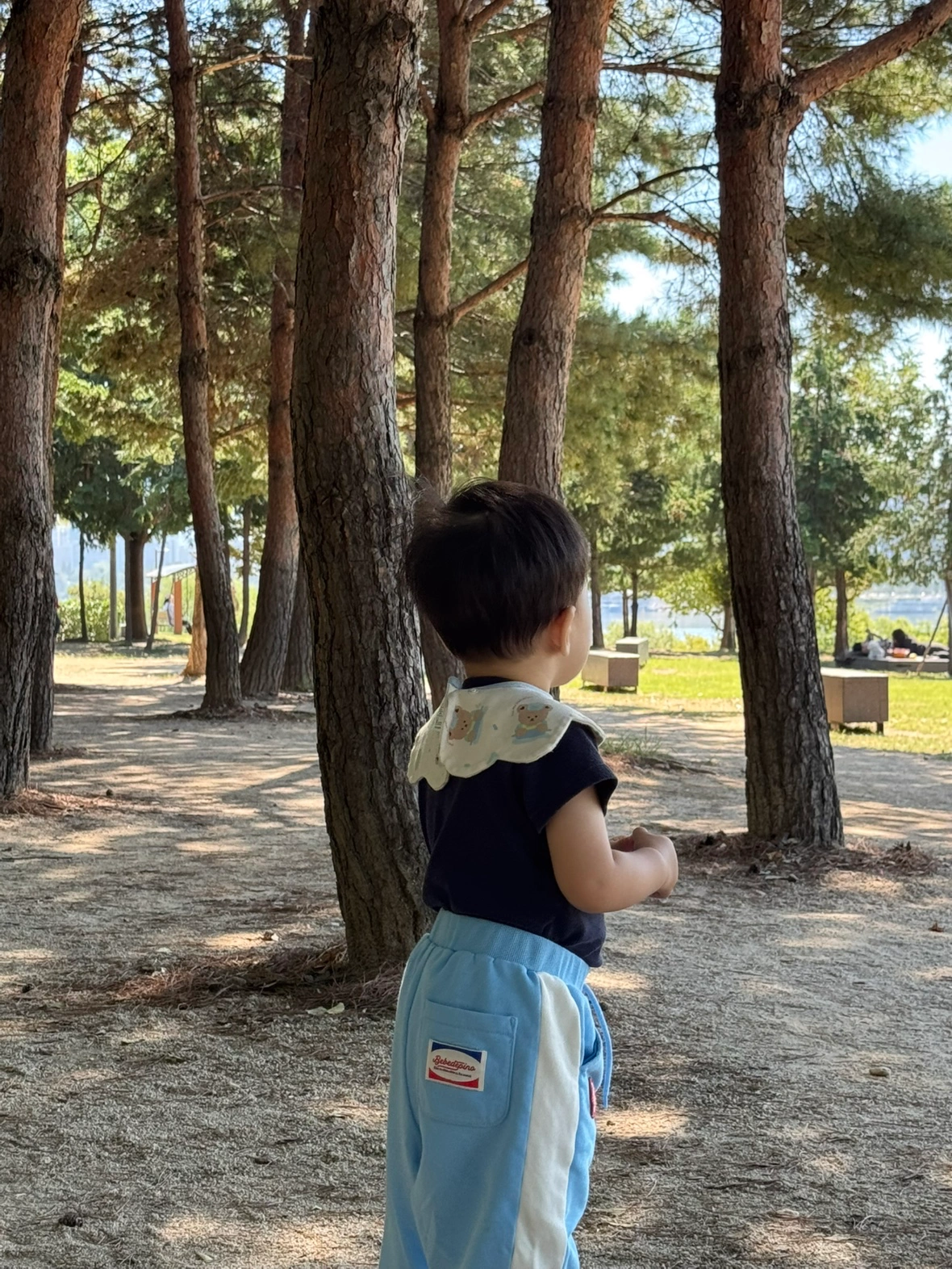 17개월 남자아이 하원 후 돌봐주실 분 구합니다.