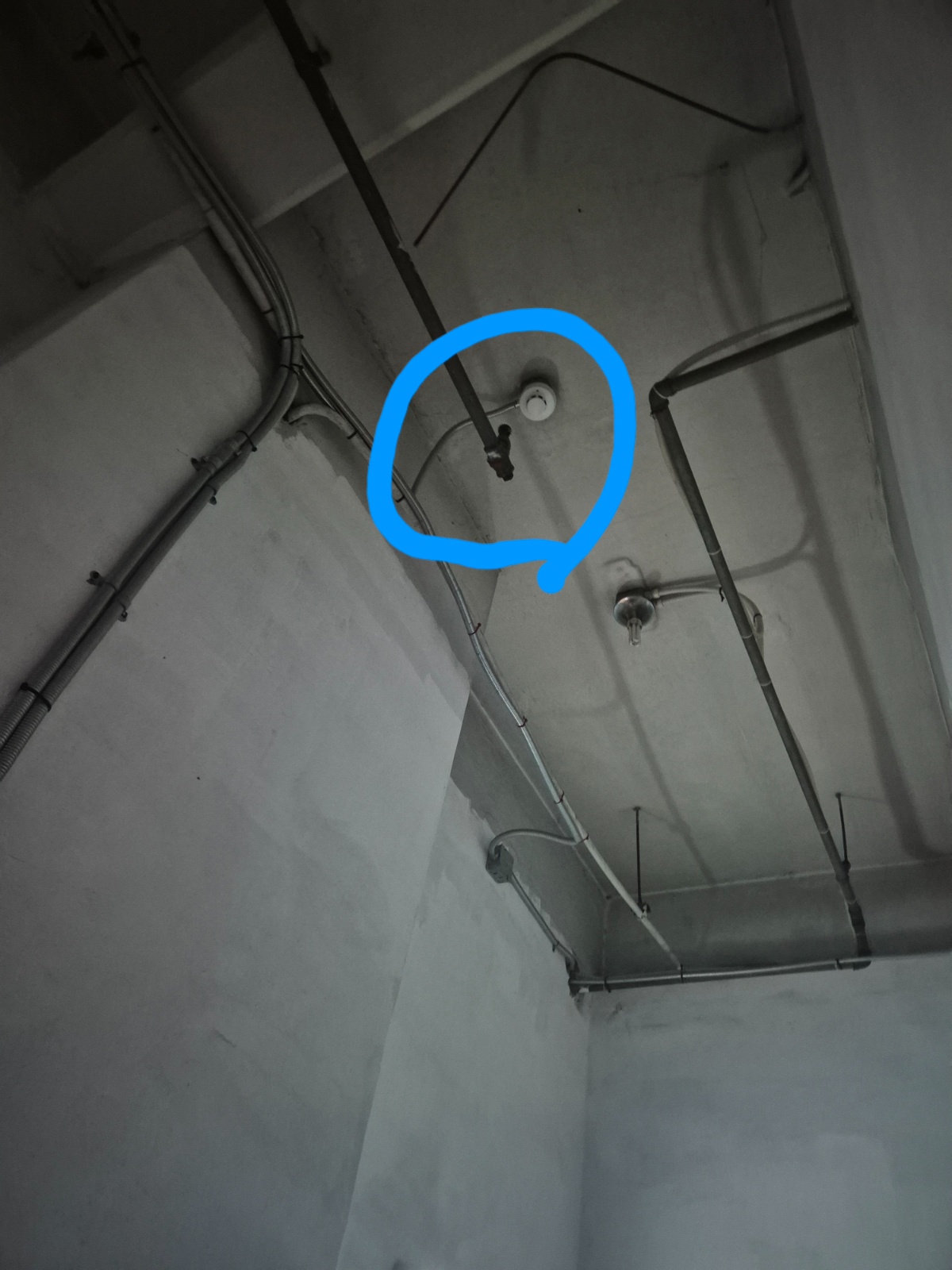 호텔 지하 스프링클러 누수 수리 전문가 구합니다 공고 썸네일