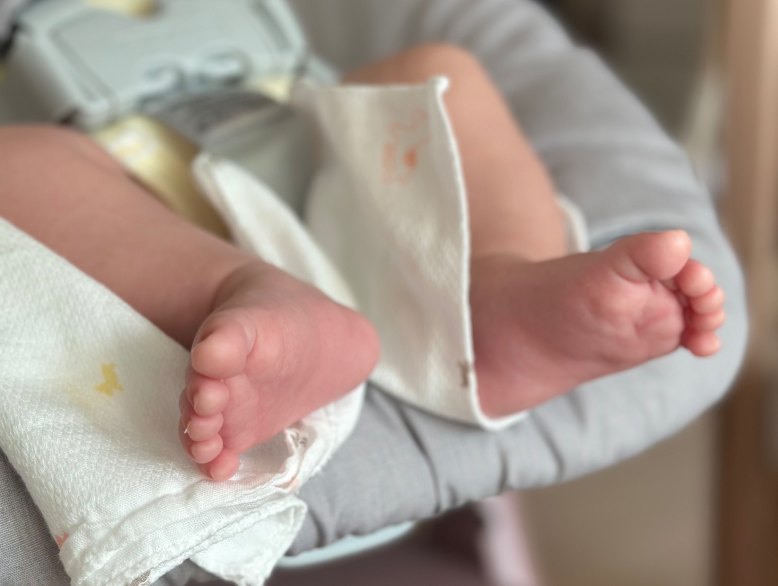 3개�월 여아 시터분 구합니다 공고 썸네일