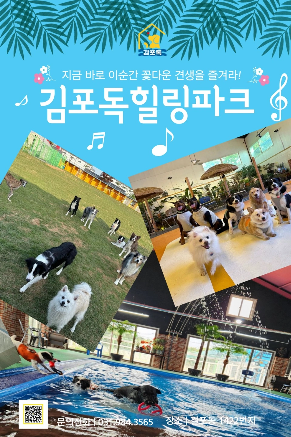 애견카페 직원모집