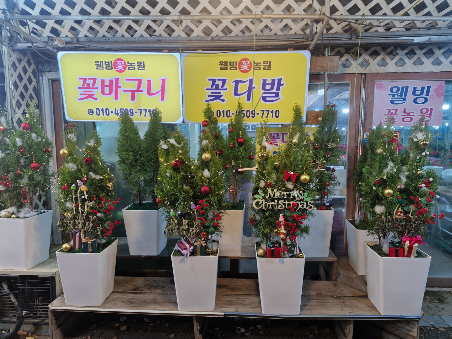 꽃집에서 오래하실분 찾아요