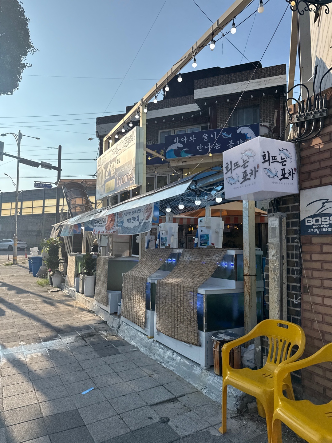 용현동 회뜨는 포차 홀 직원구합니다~ 공고 썸네일