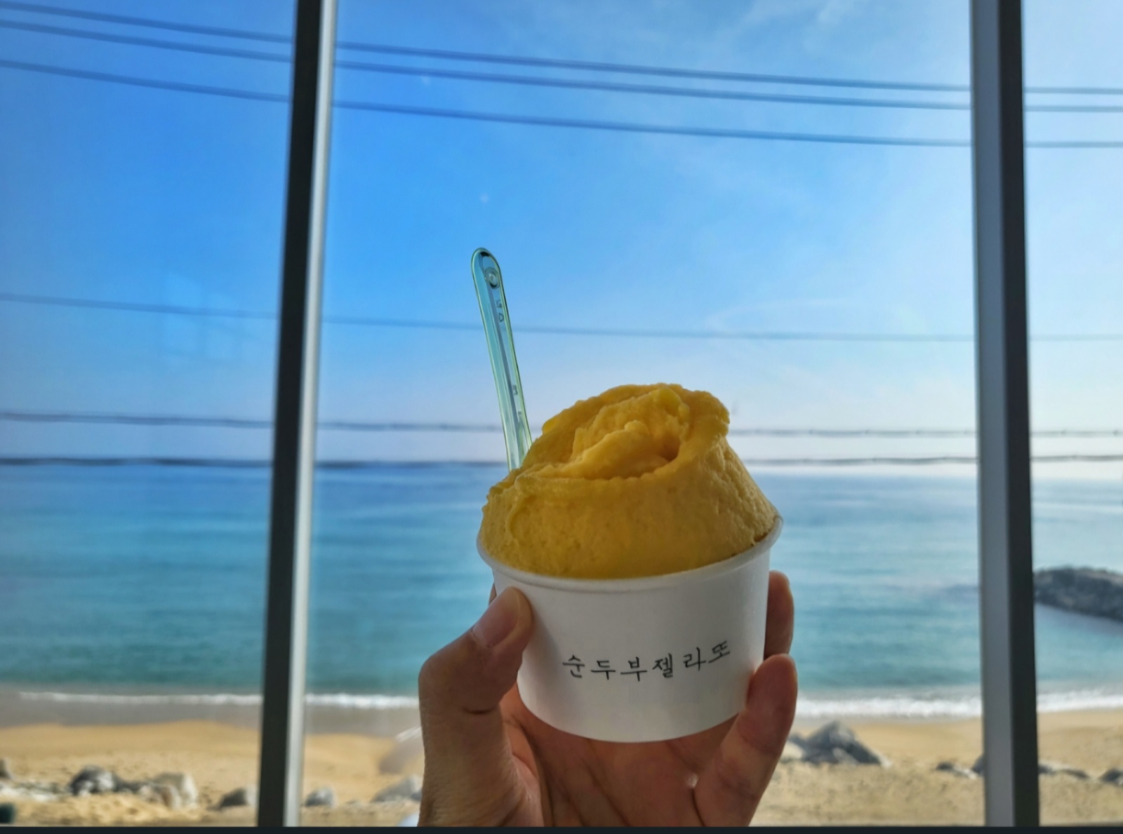 순두부젤라또 공고 썸네일