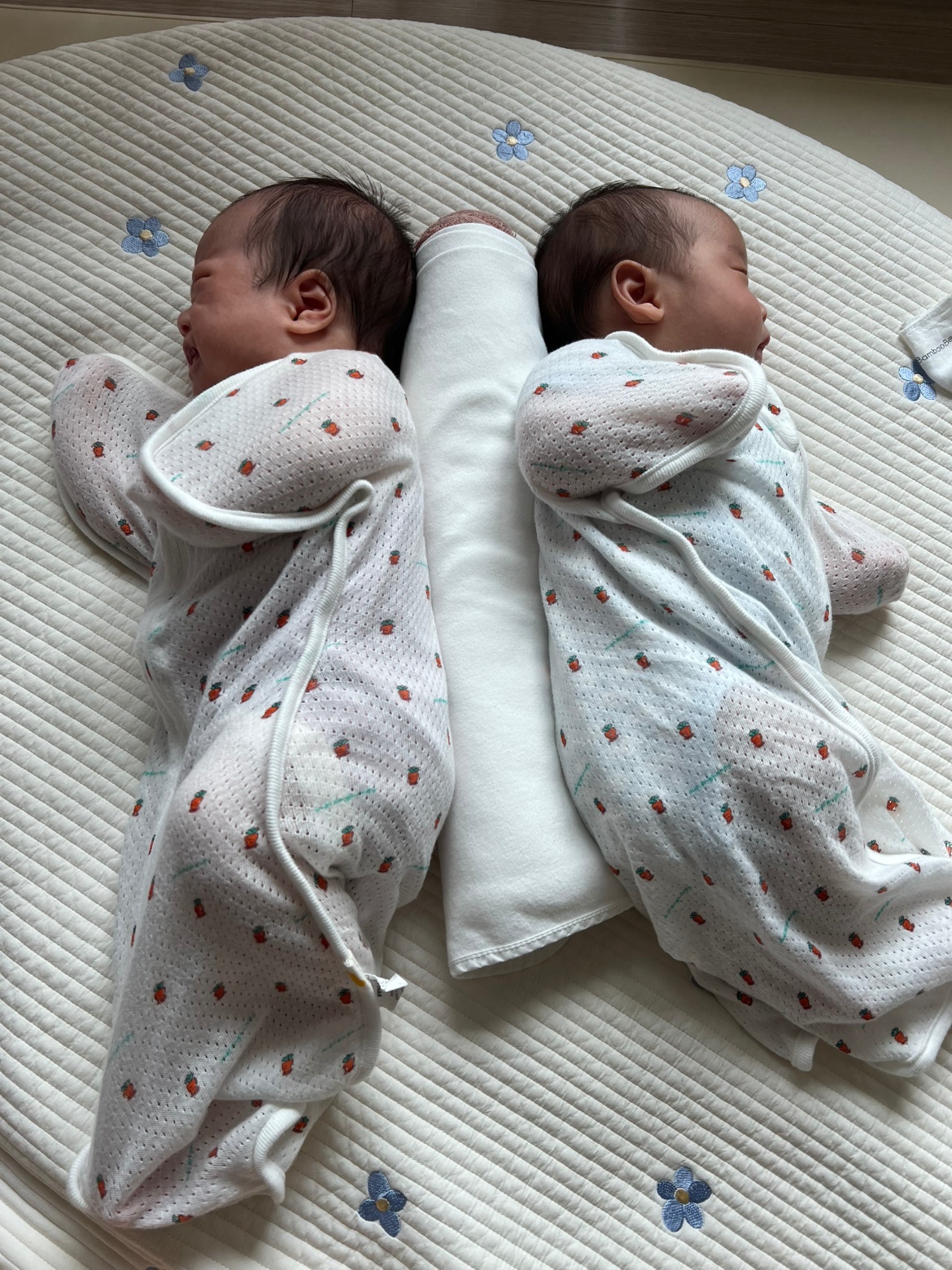 60일 남아쌍둥이 베이비시터님을 구합니다 공고 썸네일