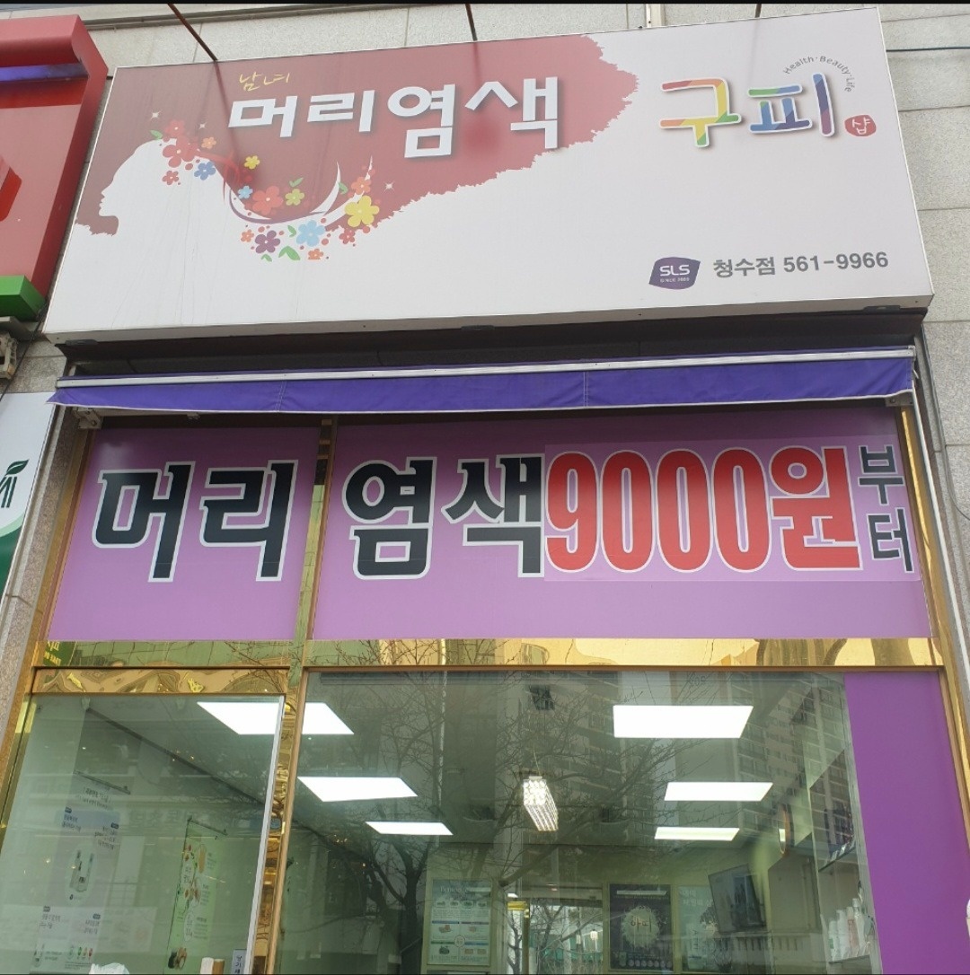 청수동 구피샵청수점 아르바이트 장소