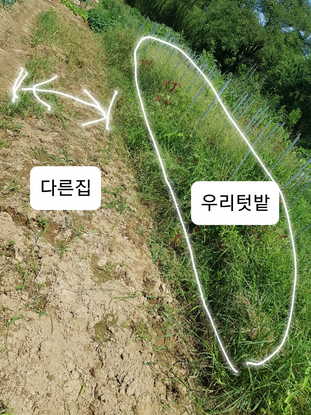 텃밭 깨끗하게 정리해주실분 공고 썸네일