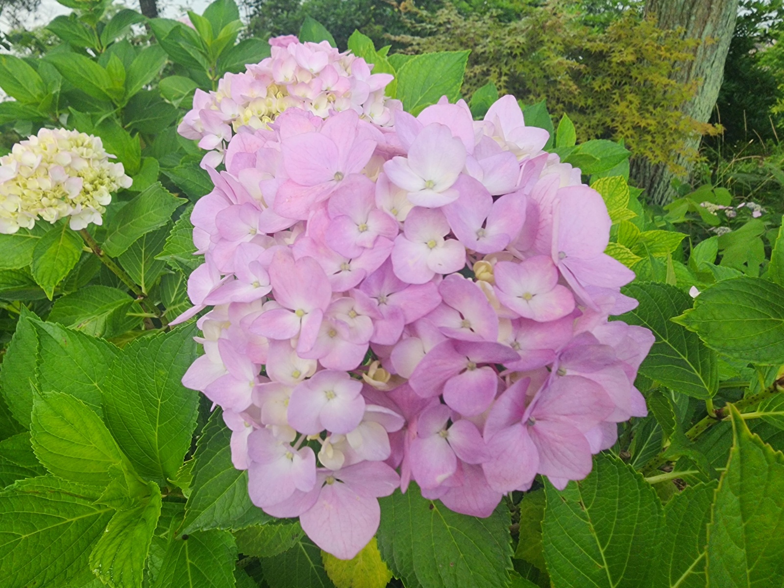 함께 일하실 직원 구합니다 공고 썸네일