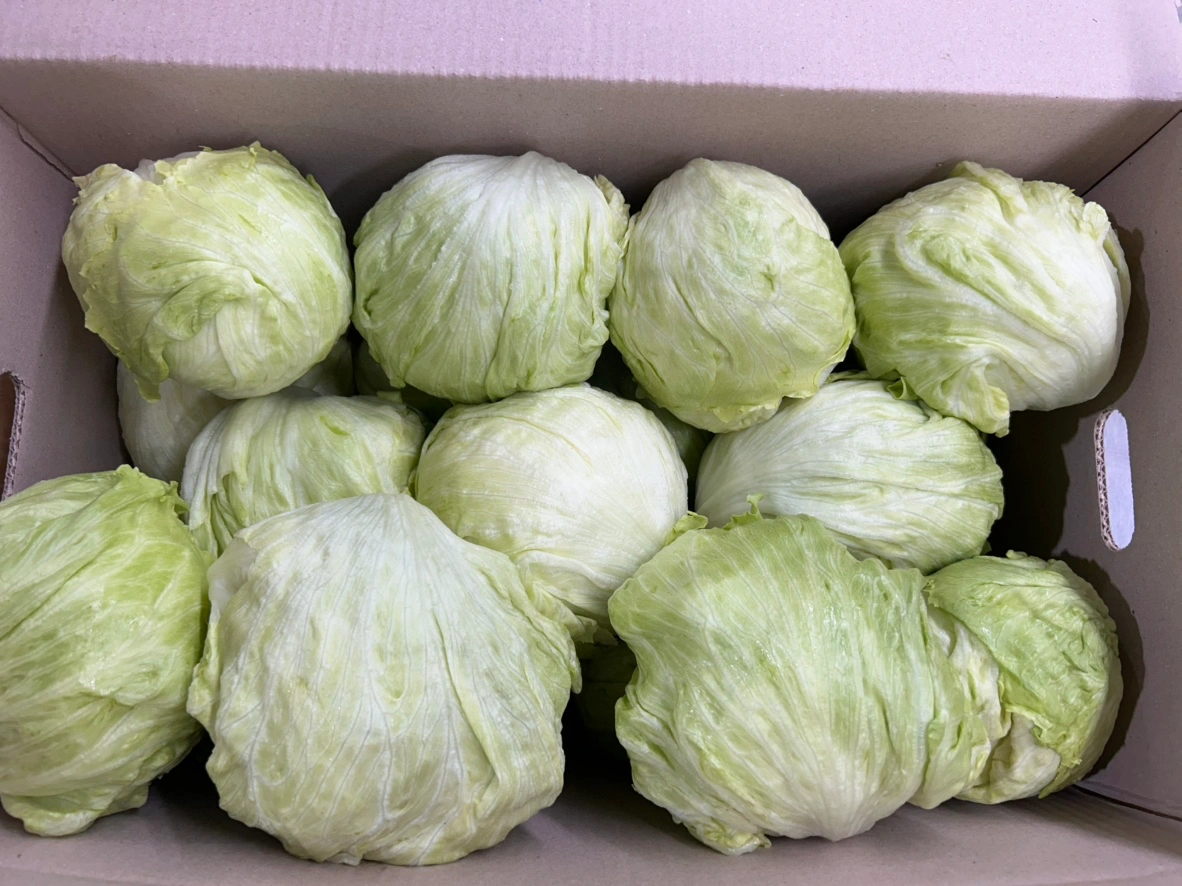 알바 구해요