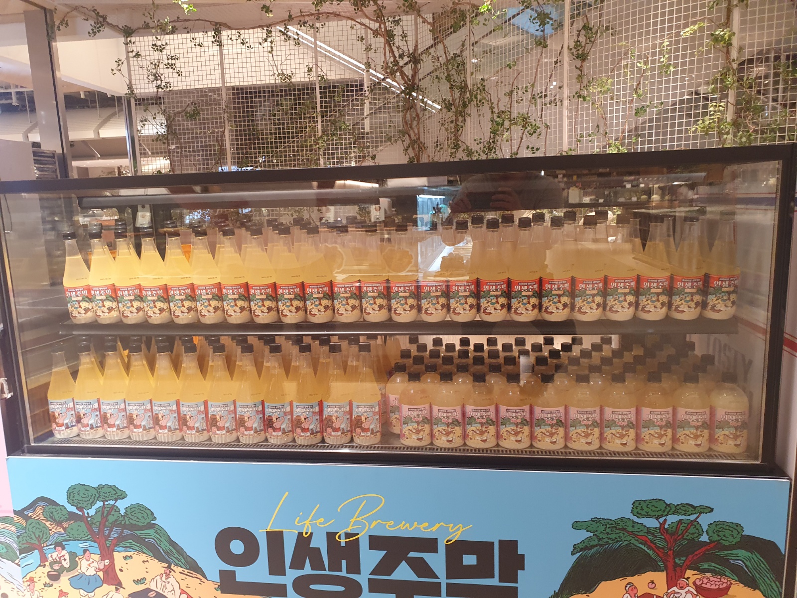 일산 현대백화점 킨텍스점 막걸리 시음, 판매 알바 모집 공고 썸네일