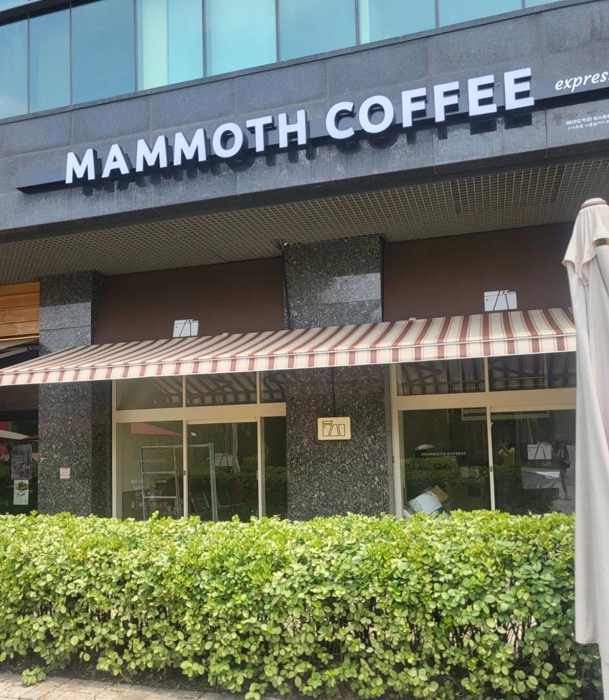 매머드익스프레스 서울숲아이코닉점 주말 미들 구합니다!