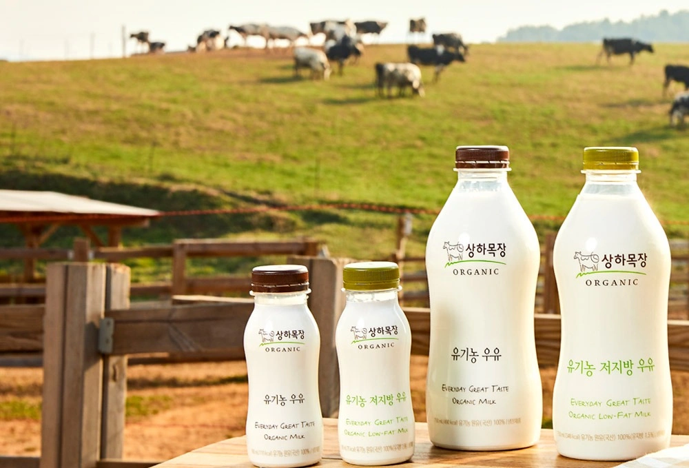 저녘 지차 우유 배송 모집