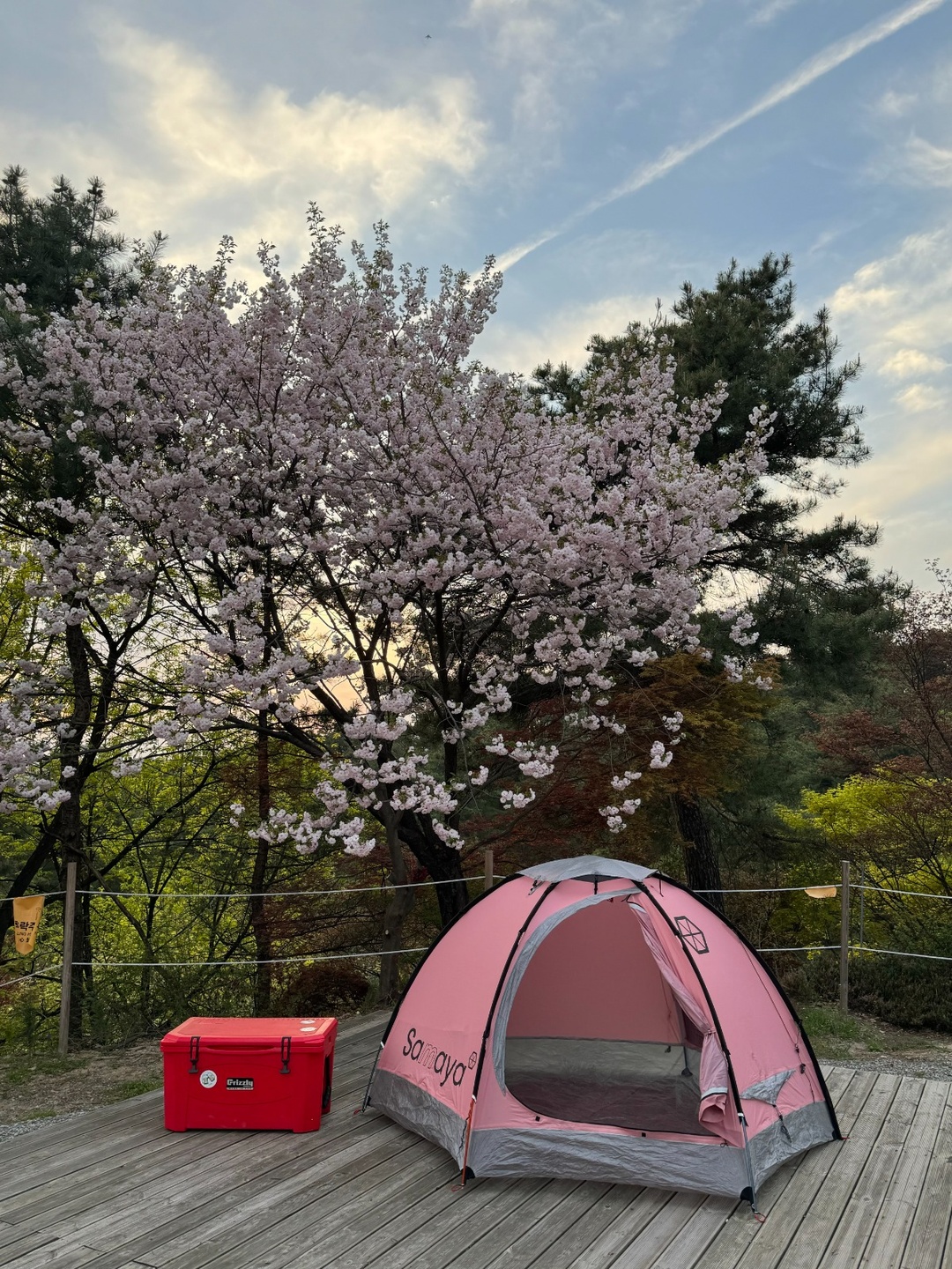 백암면 파이브이모션 아르바이트 장소 (1)