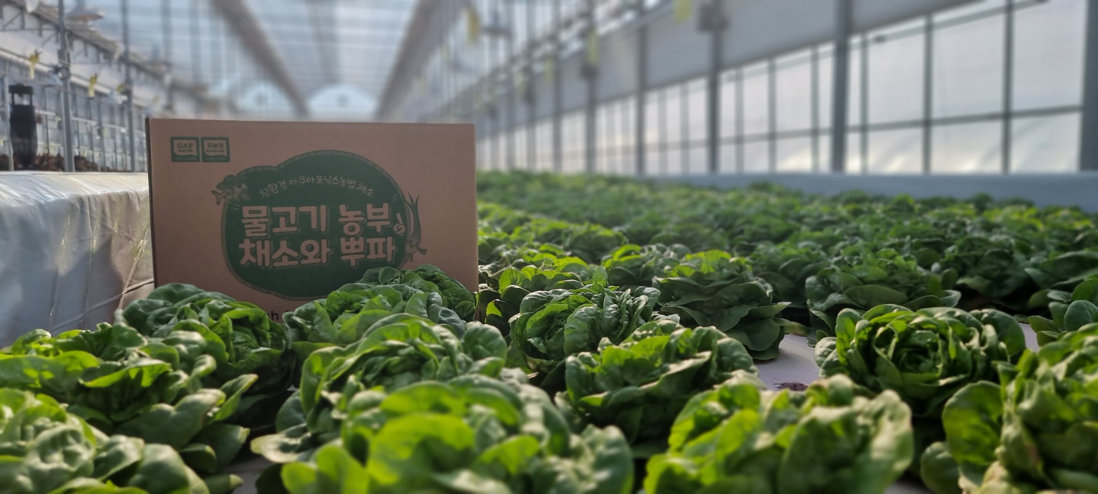 천리팜과 함께 친환경 농업의 미래를 만들어갈 인재 모집 공고 썸네일