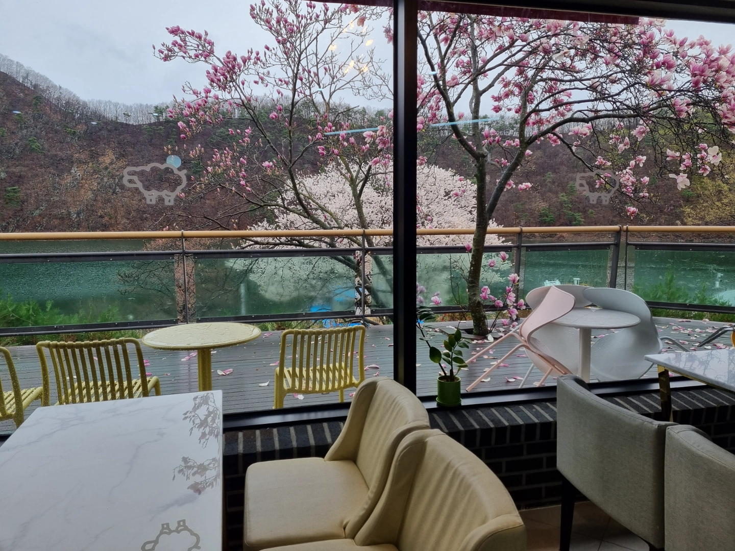 카페주말알바.직원 경력자우대
