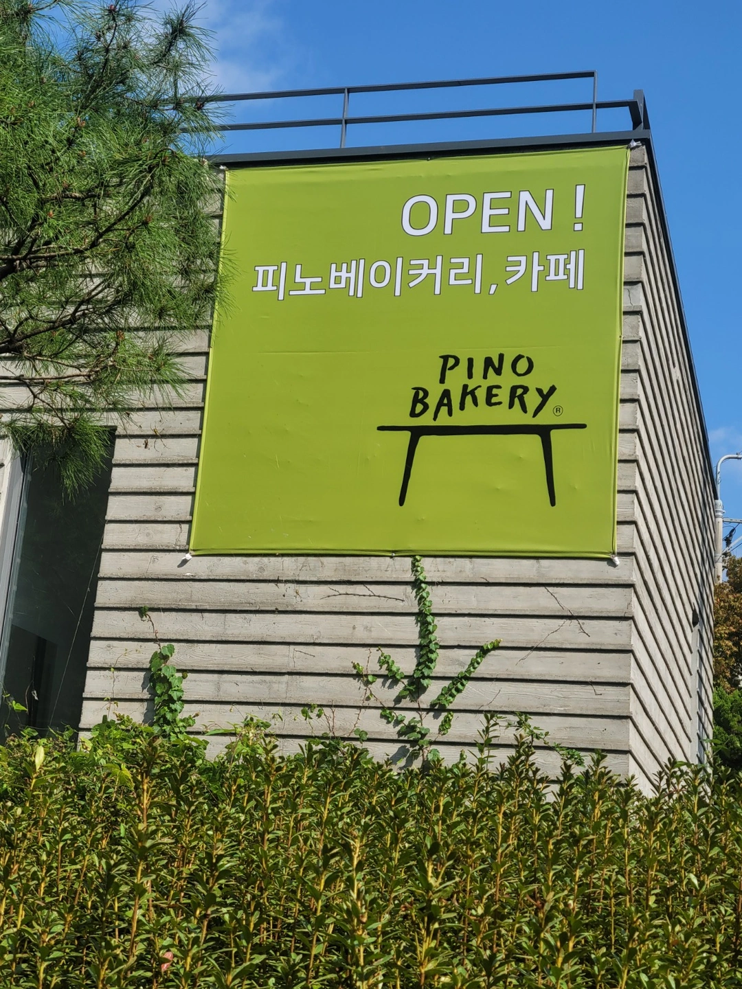 카페바리스타