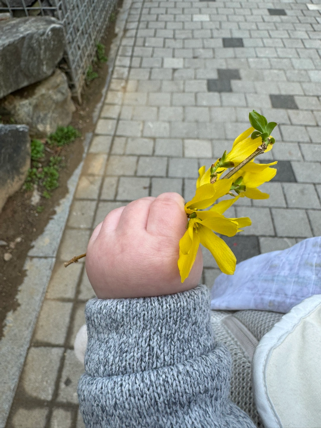 (개포)주2-3회 12개월 남아 시터