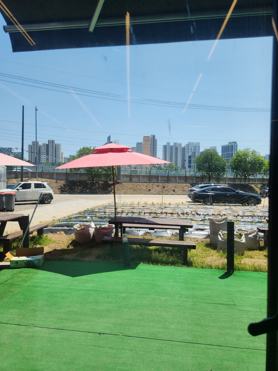(초등4,5학년, 중1) 총 3명 놀아주기요^^사진필수